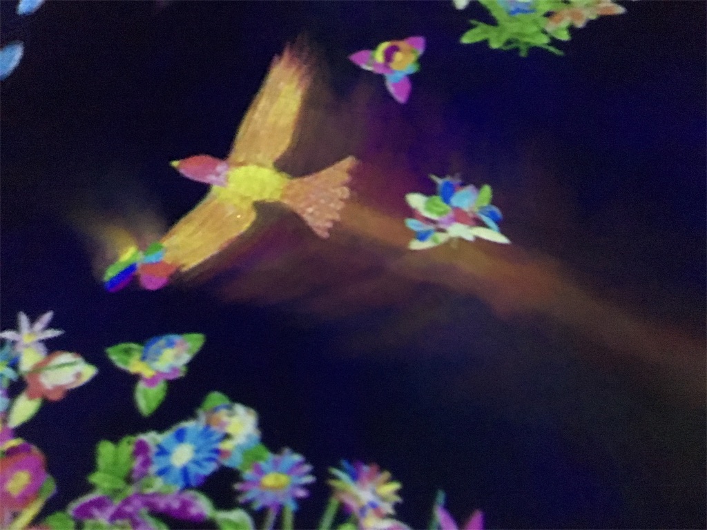 f:id:BlueDog:20190121212944j:image f:id:BlueDog:20190121212944j:image