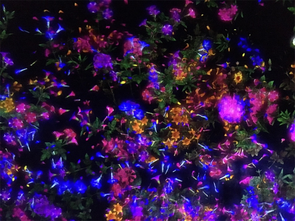 f:id:BlueDog:20190121212947j:image f:id:BlueDog:20190121212947j:image