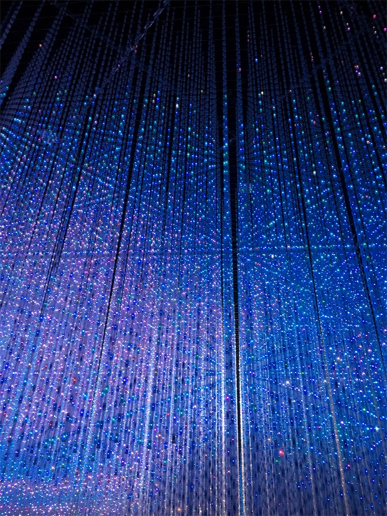 f:id:BlueDog:20190121212951j:image f:id:BlueDog:20190121212951j:image