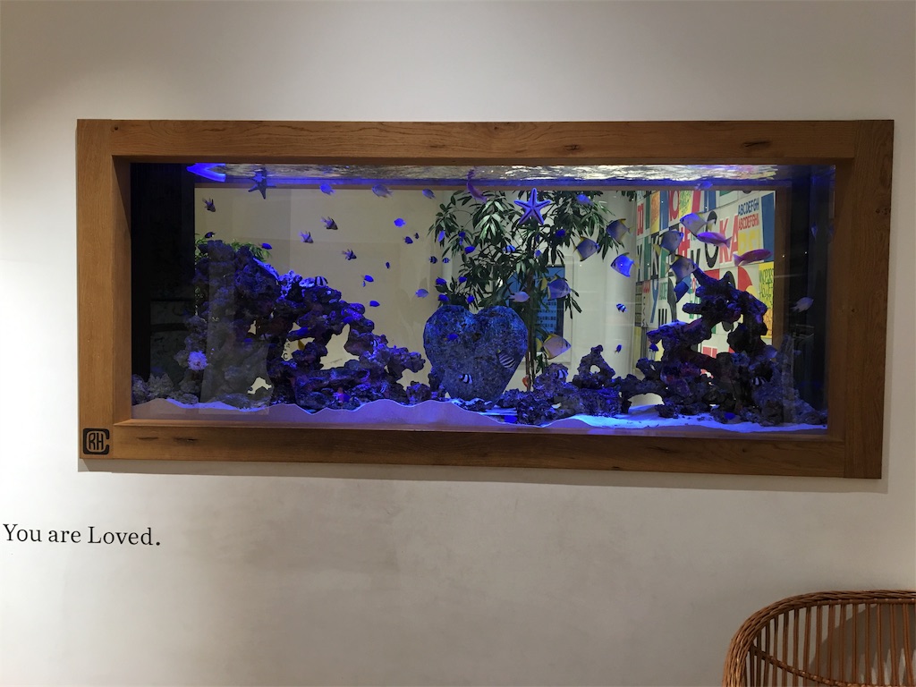 f:id:BlueDog:20190317113145j:image