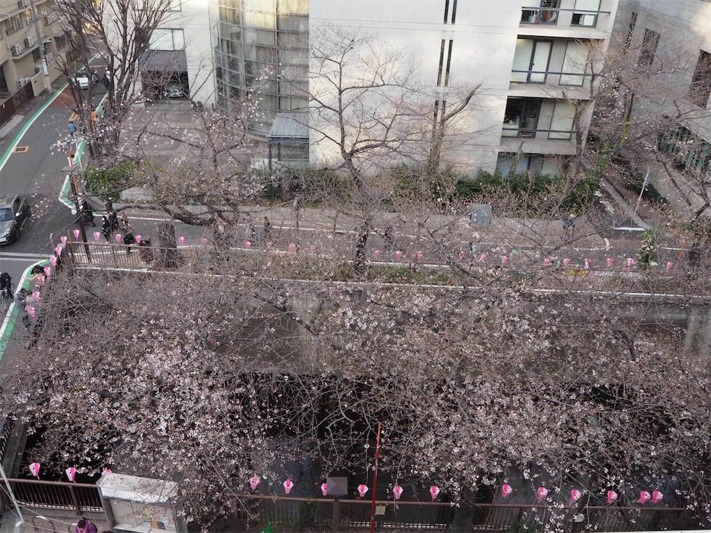 f:id:BlueDog:20190325075954j:image