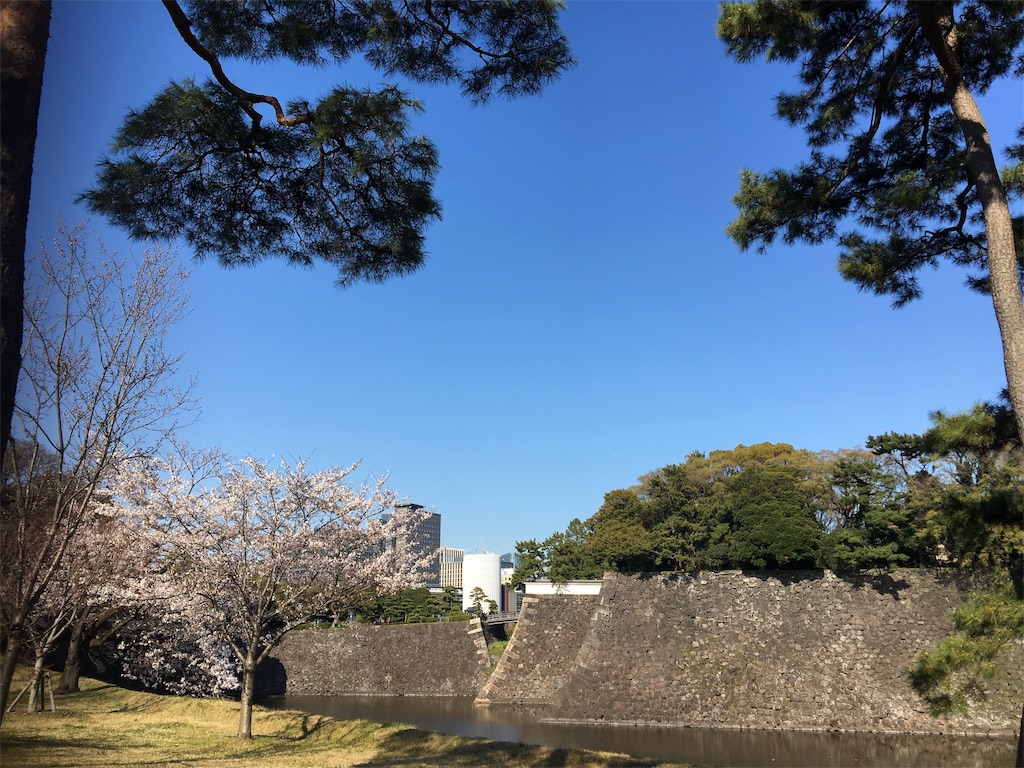 f:id:BlueDog:20190405074240j:image