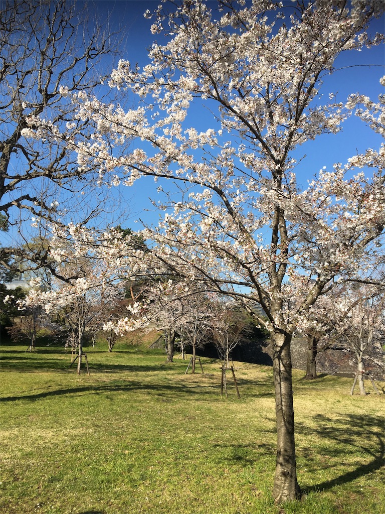 f:id:BlueDog:20190405074301j:image