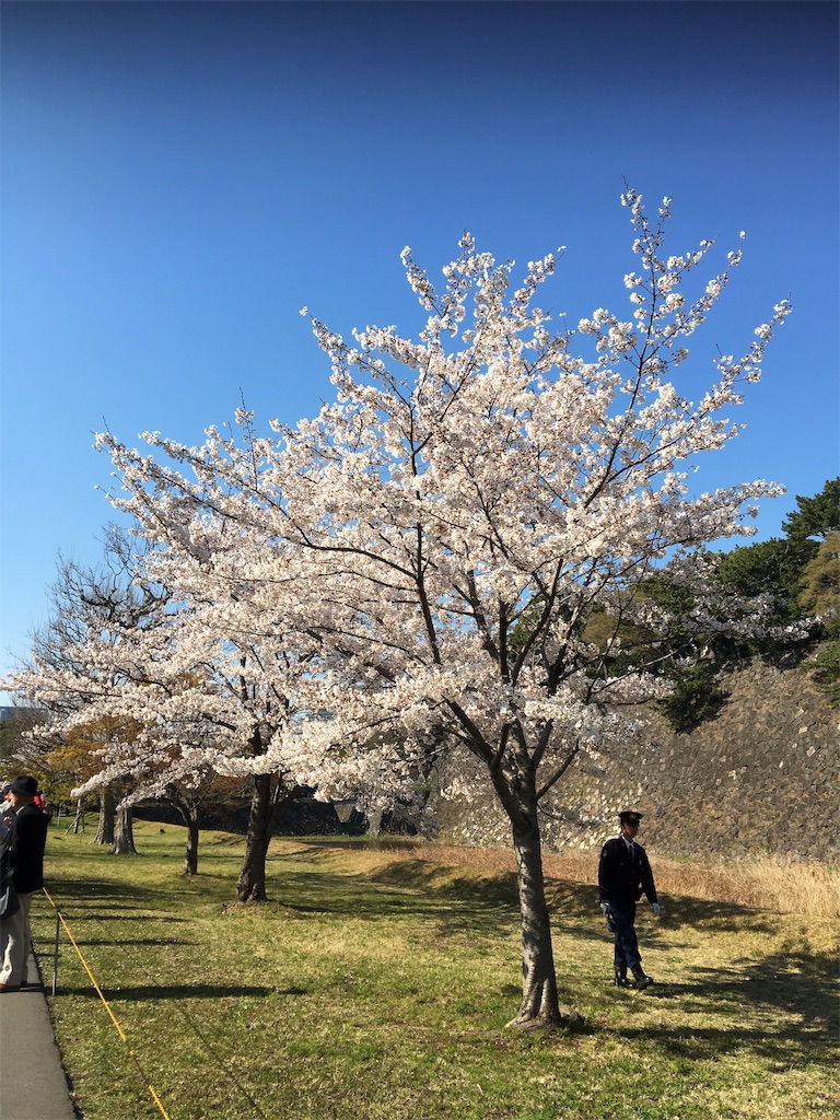 f:id:BlueDog:20190405074313j:image