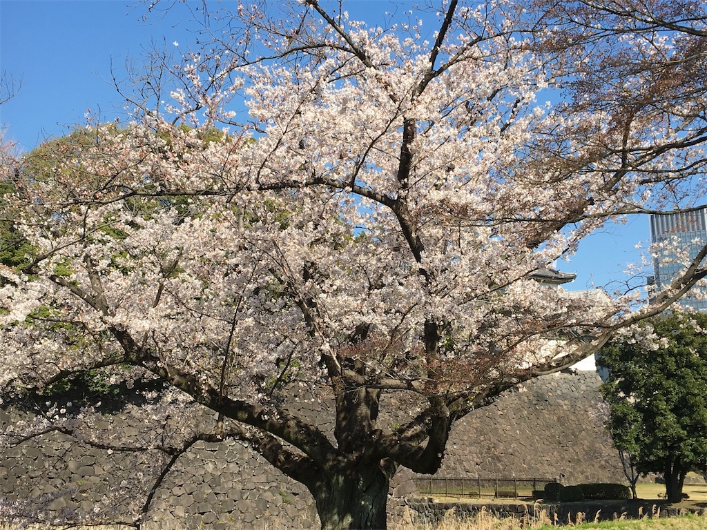 f:id:BlueDog:20190405074328j:image