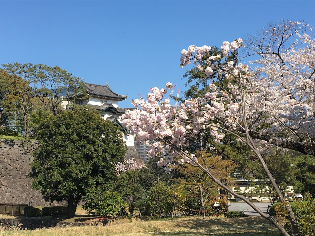 f:id:BlueDog:20190405074334j:image