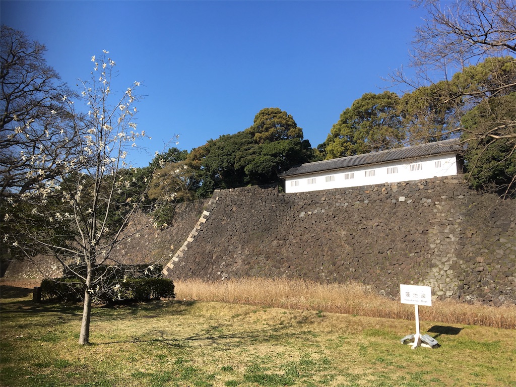 f:id:BlueDog:20190405074340j:image