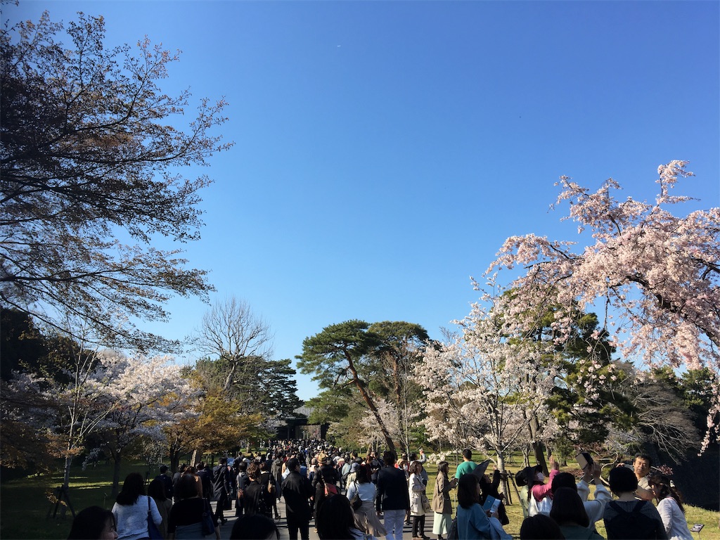 f:id:BlueDog:20190405074345j:image