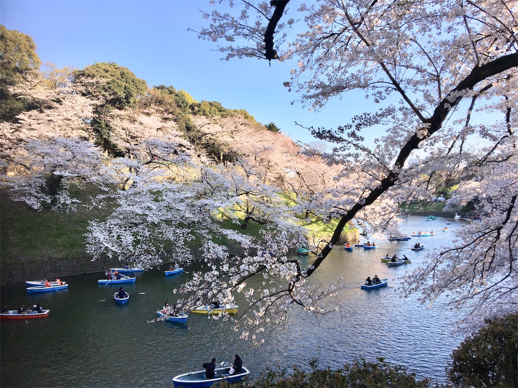 f:id:BlueDog:20190409075152j:image