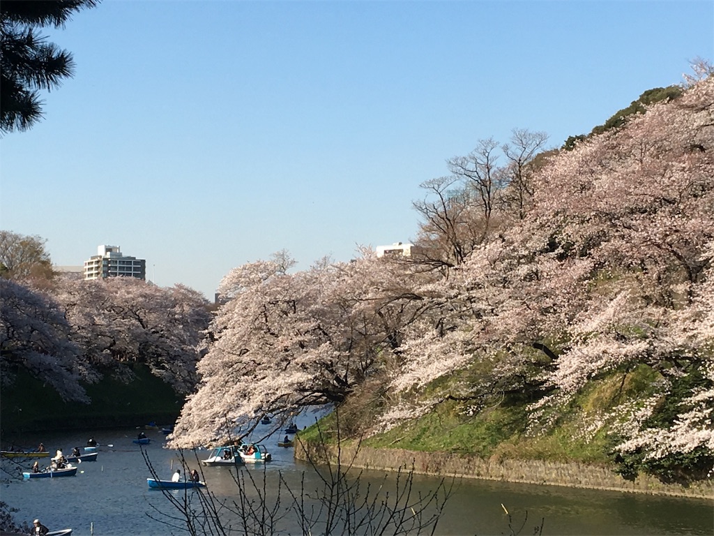 f:id:BlueDog:20190409075200j:image