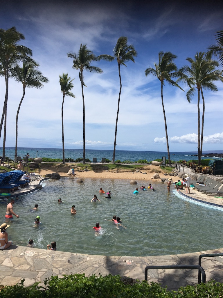 f:id:BlueDog:20190603080028j:image f:id:BlueDog:20190603080028j:image