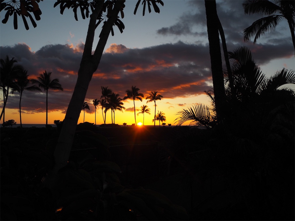 f:id:BlueDog:20190603080659j:image f:id:BlueDog:20190603080659j:image