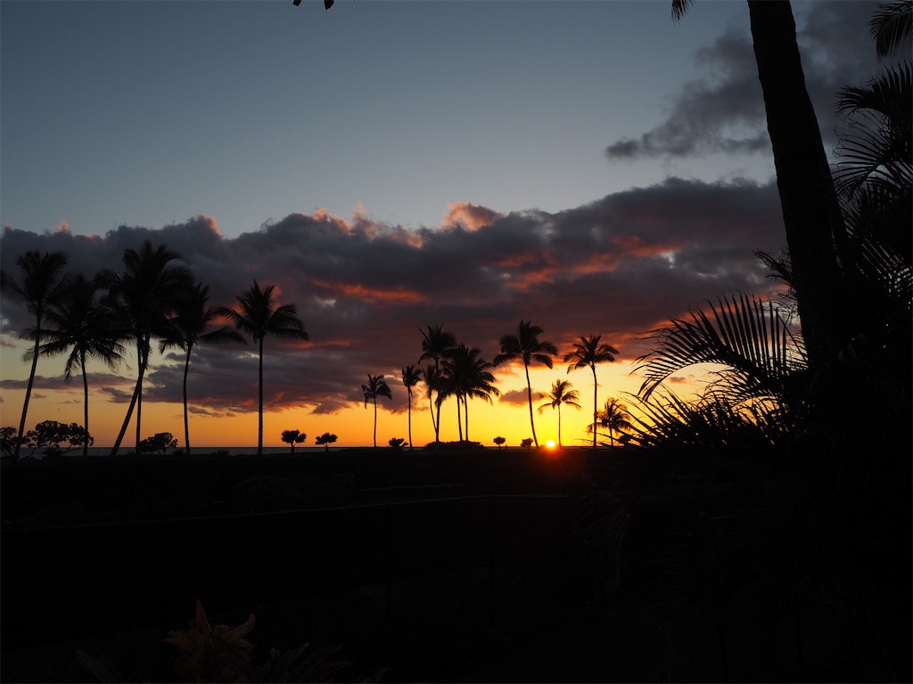 f:id:BlueDog:20190603080703j:image f:id:BlueDog:20190603080703j:image