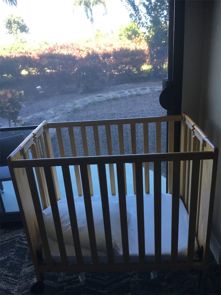 f:id:BlueDog:20190603080820j:image f:id:BlueDog:20190603080820j:image