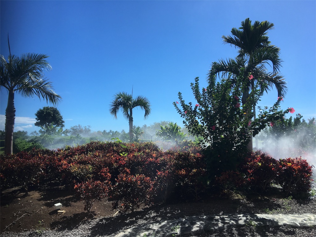 f:id:BlueDog:20190603080828j:image f:id:BlueDog:20190603080828j:image