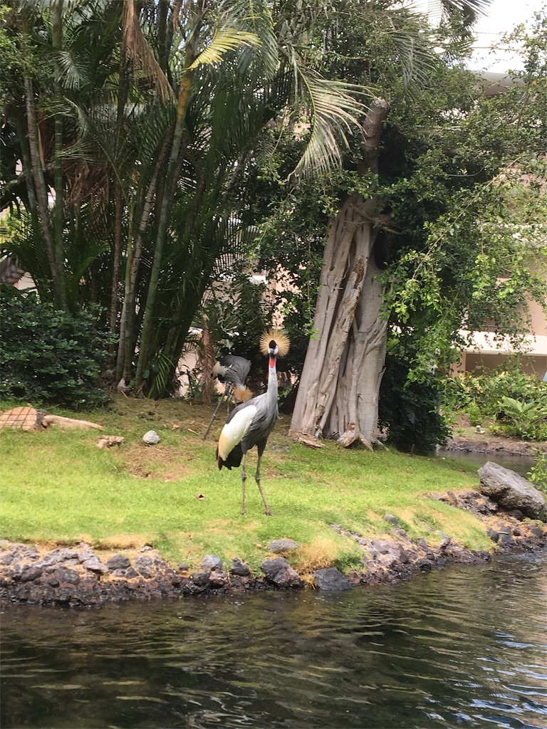 f:id:BlueDog:20190603080913j:image f:id:BlueDog:20190603080913j:image