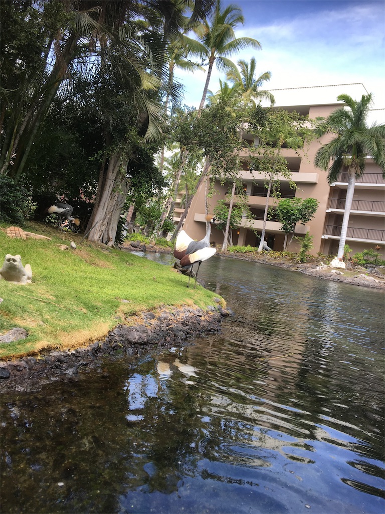 f:id:BlueDog:20190603080922j:image f:id:BlueDog:20190603080922j:image