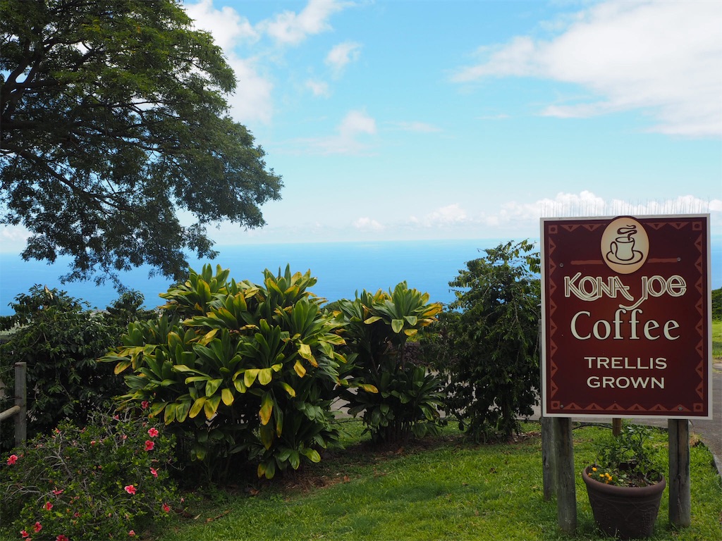 f:id:BlueDog:20190604173914j:image f:id:BlueDog:20190604173914j:image