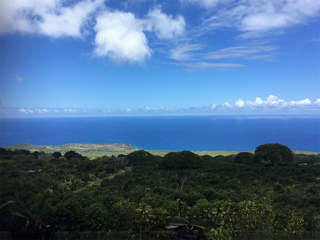 f:id:BlueDog:20190604173936j:image f:id:BlueDog:20190604173936j:image