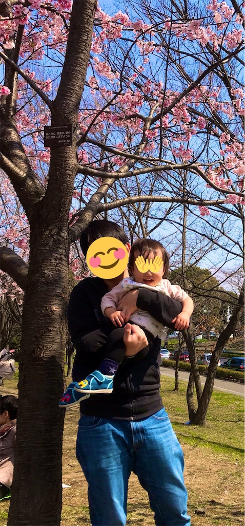 f:id:BlueLiving:20190318145128j:image