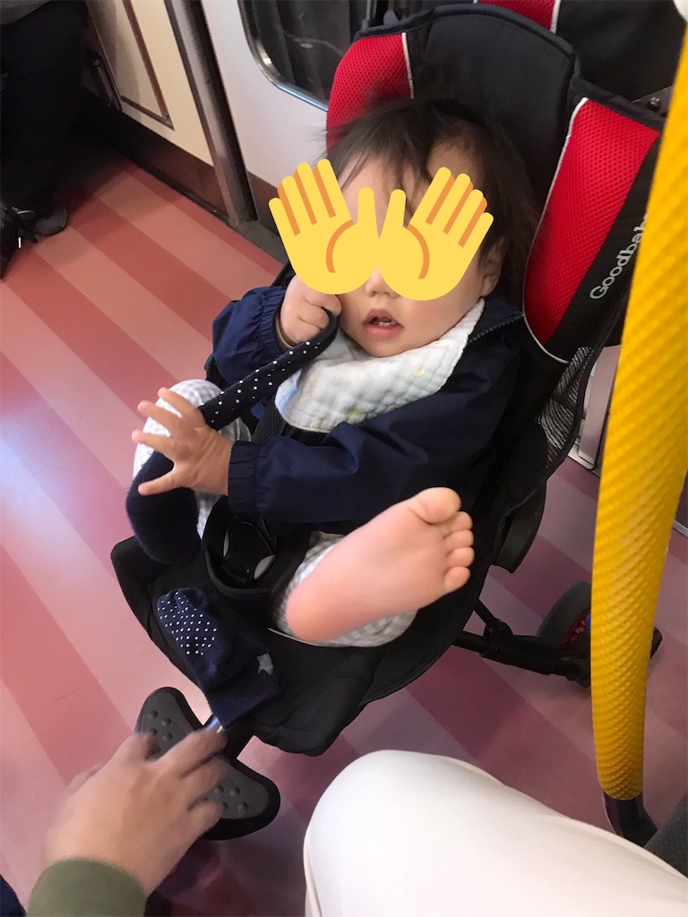 f:id:BlueLiving:20190331215412j:image