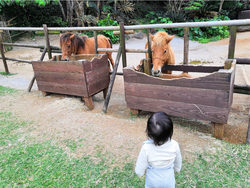 f:id:BlueLiving:20190331220744j:image