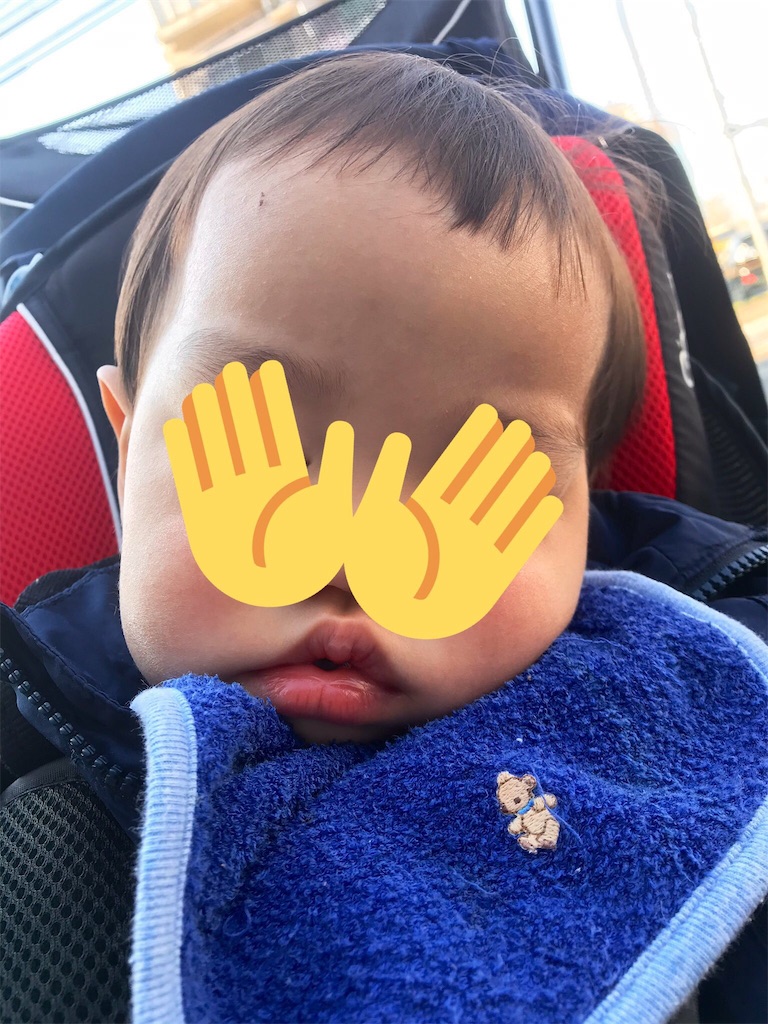 f:id:BlueLiving:20190413223153j:image