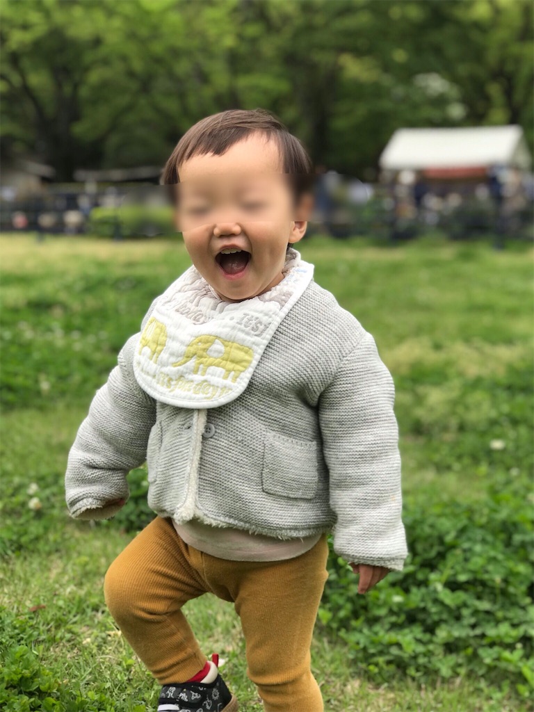 f:id:BlueLiving:20190427182329j:image