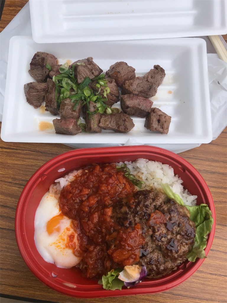 f:id:BlueLiving:20190427182629j:image