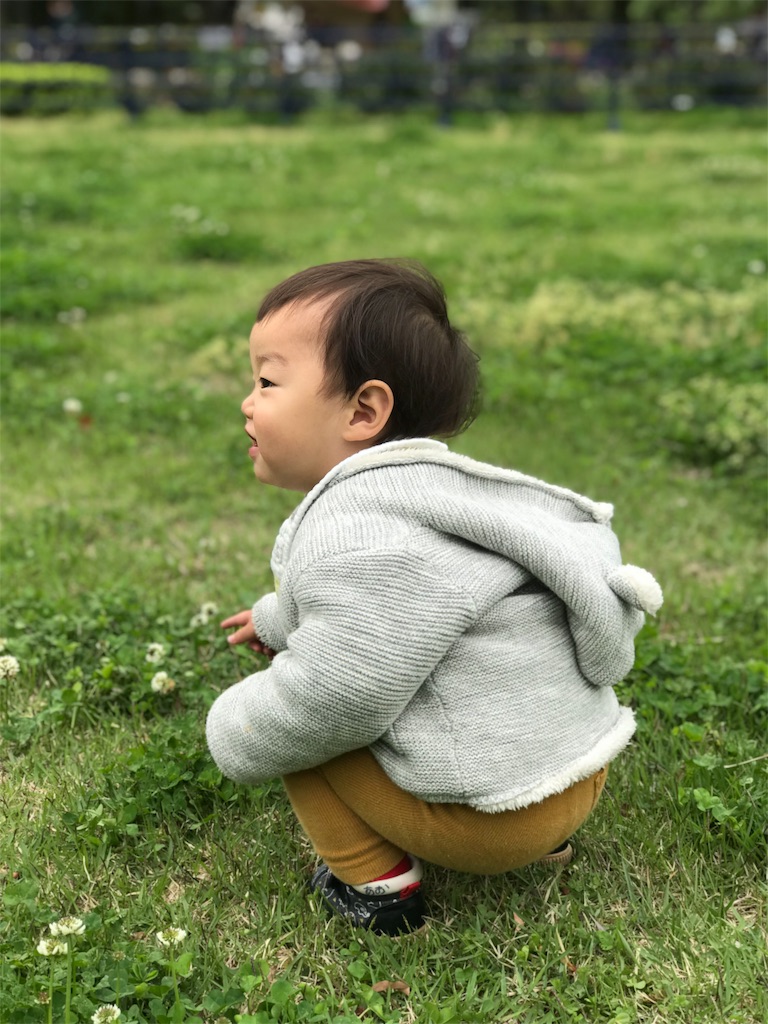 f:id:BlueLiving:20190427182836j:image