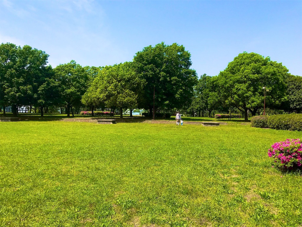 f:id:BlueLiving:20190520100358j:image
