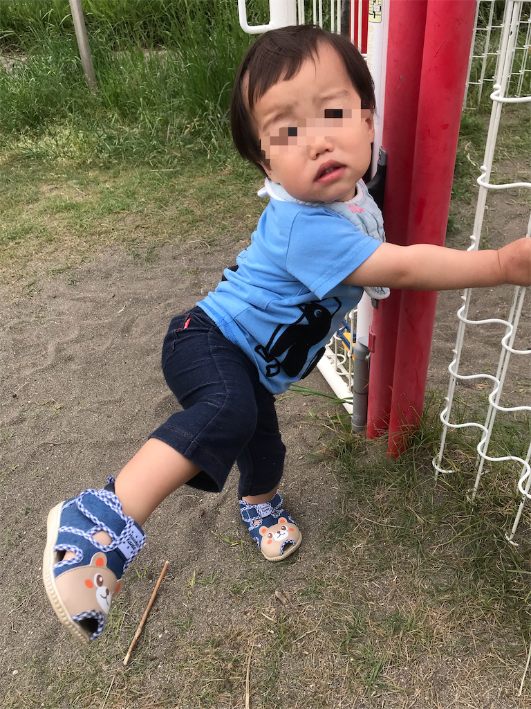 f:id:BlueLiving:20190522112420p:image