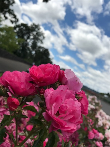 f:id:BlueSky24:20181018035313j:image f:id:BlueSky24:20181018035313j:image