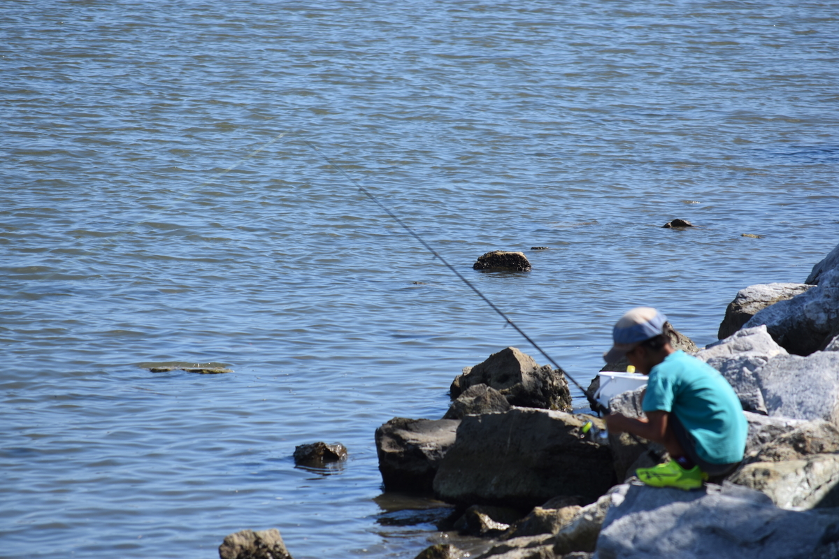 f:id:BlueTech:20200905194930j:plain