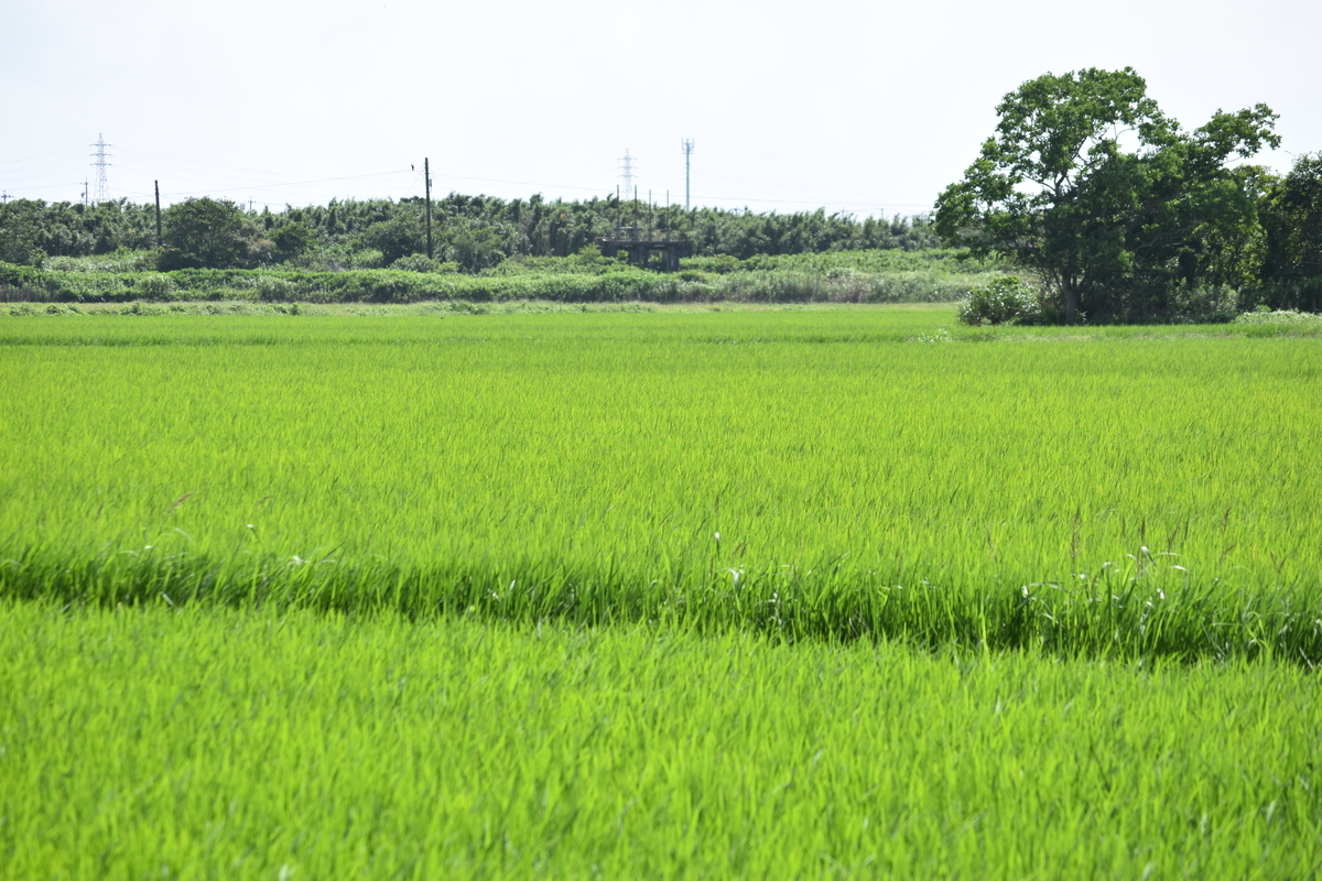 f:id:BlueTech:20200906200914j:plain