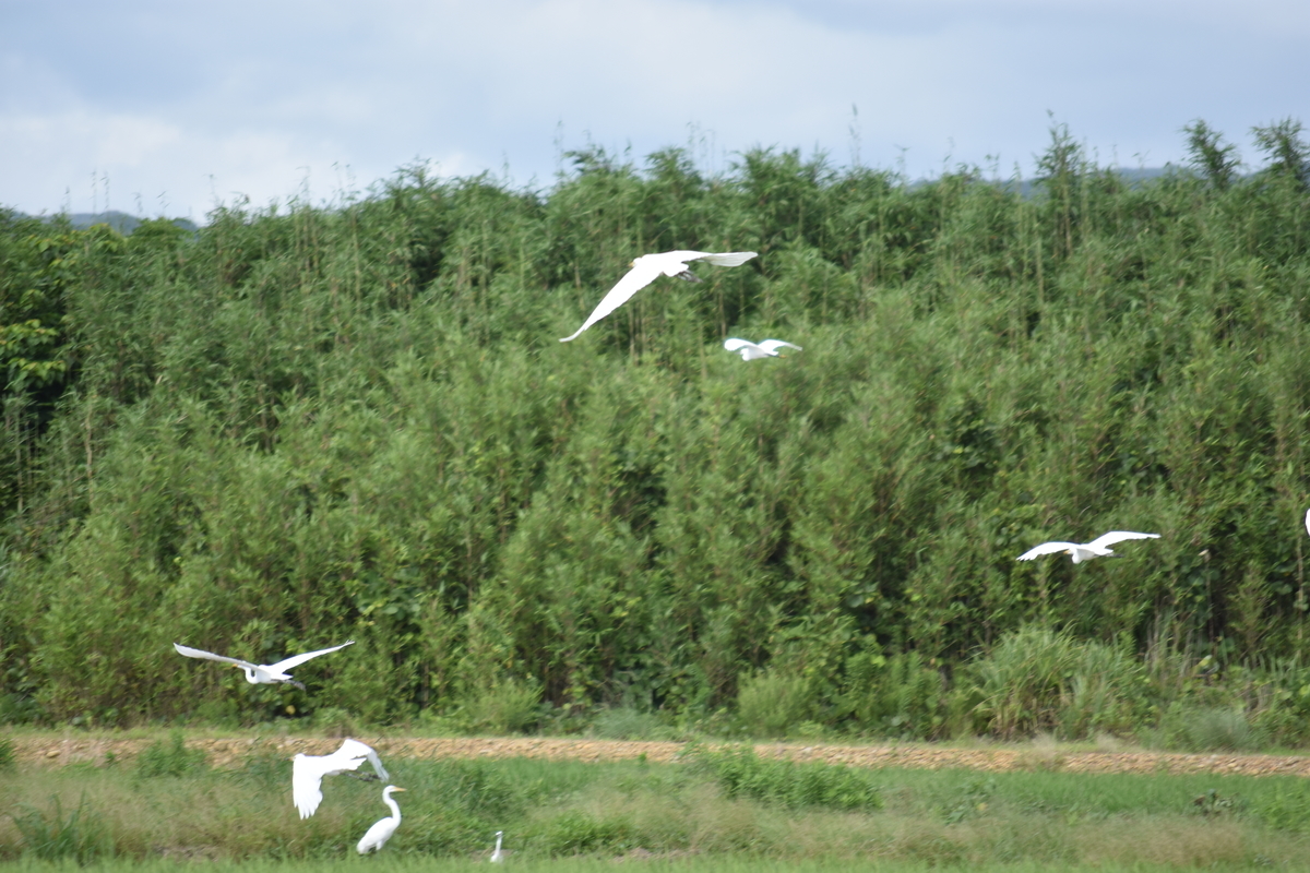 f:id:BlueTech:20200906202305j:plain