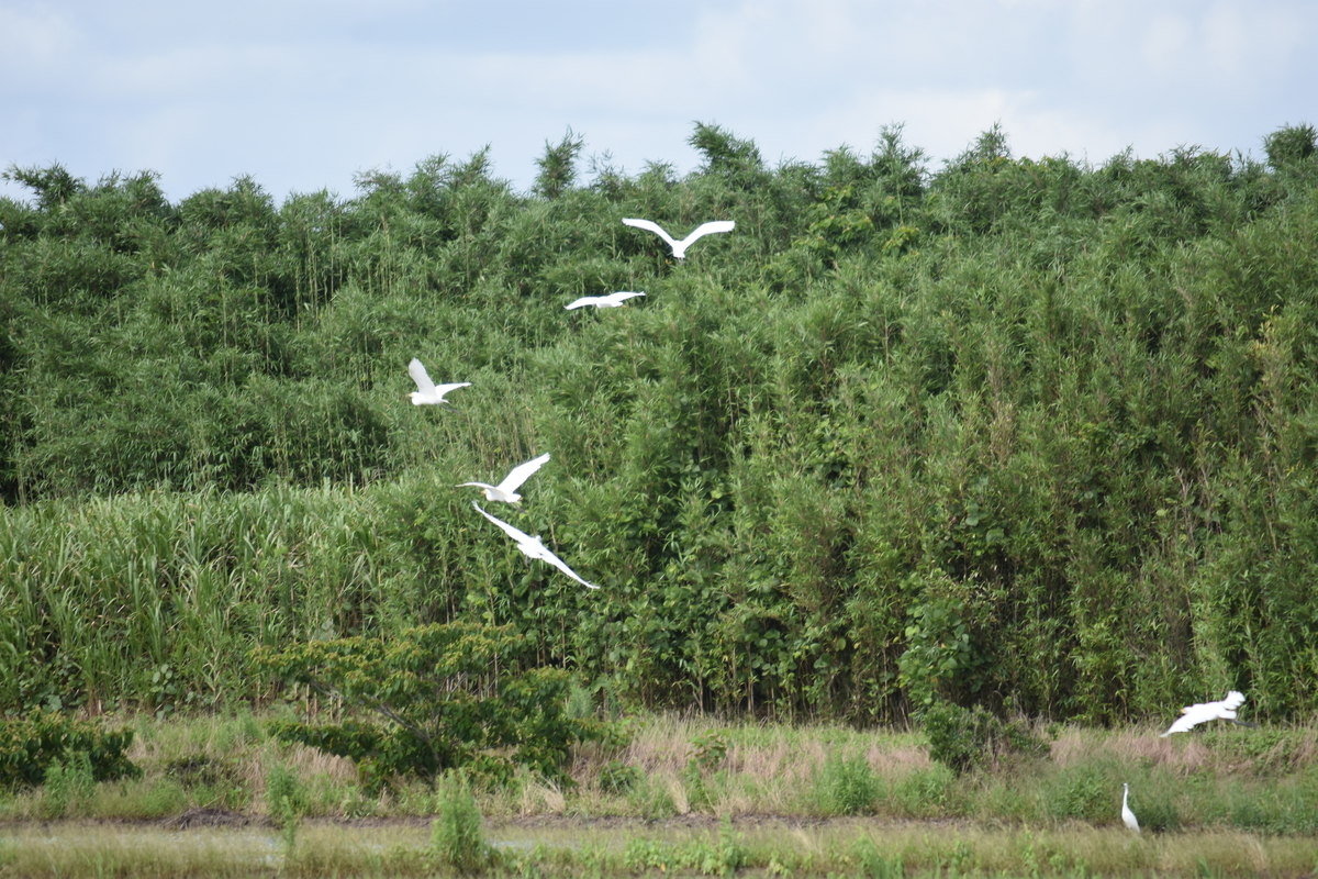 f:id:BlueTech:20200906202429j:plain