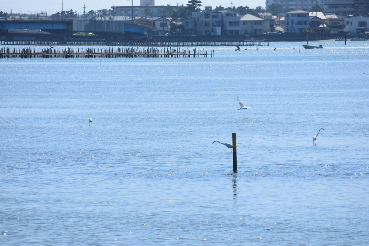 f:id:BlueTech:20200907180651j:plain