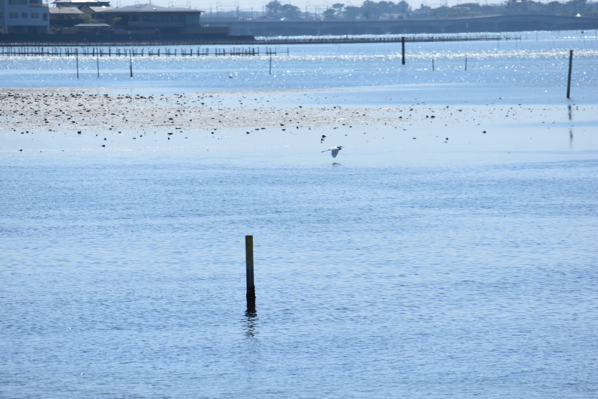 f:id:BlueTech:20200907180745j:plain