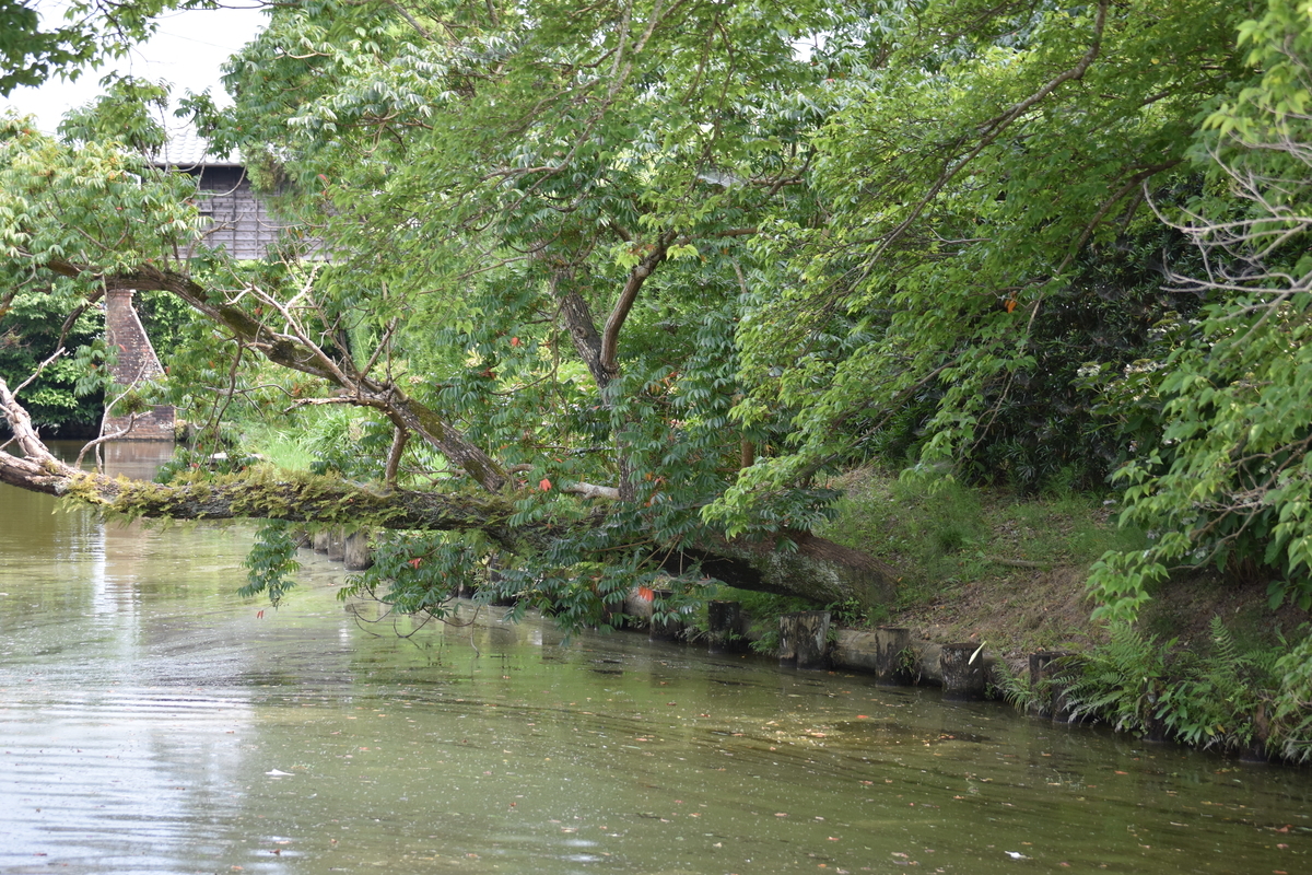 f:id:BlueTech:20200907184301j:plain