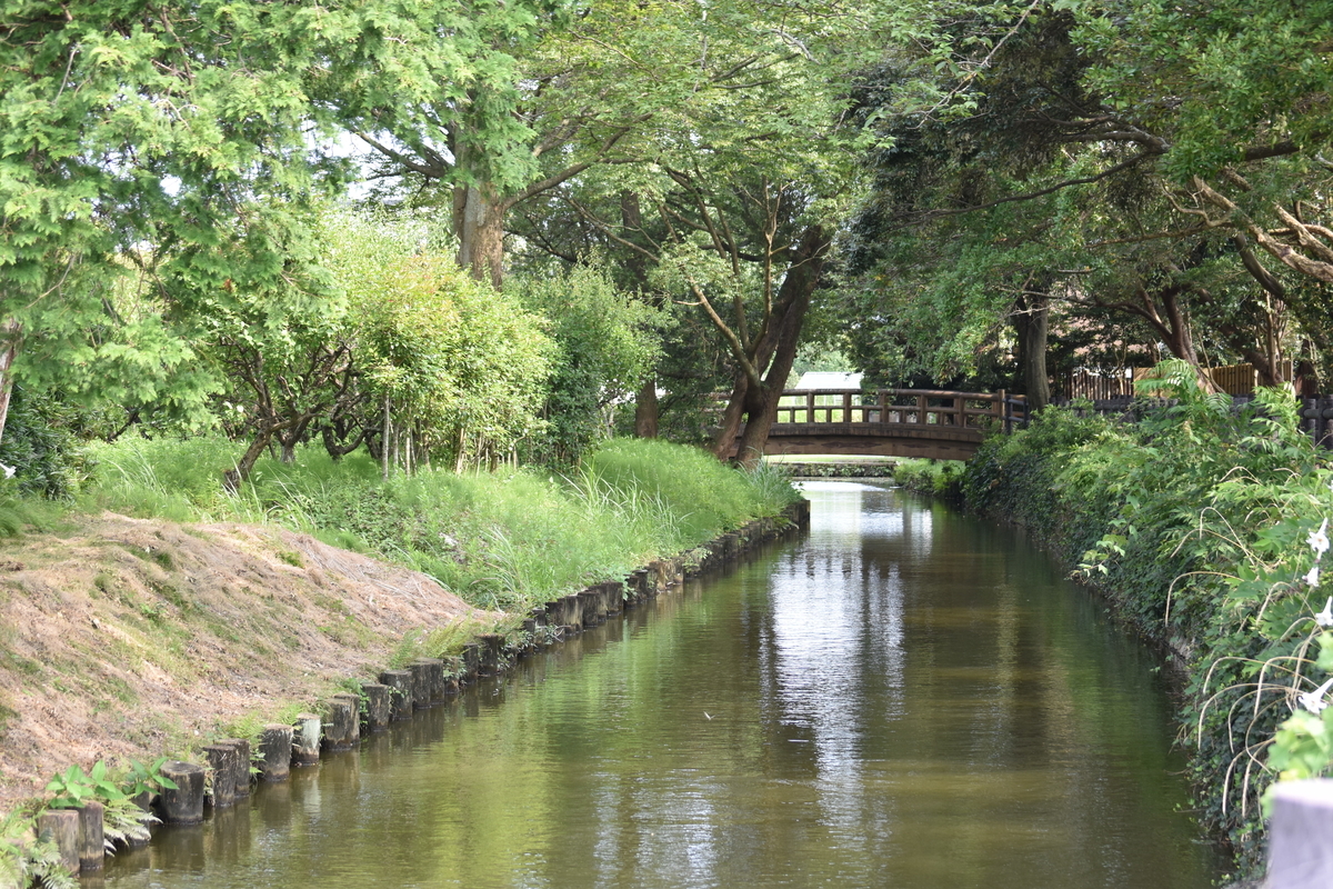 f:id:BlueTech:20200907184432j:plain