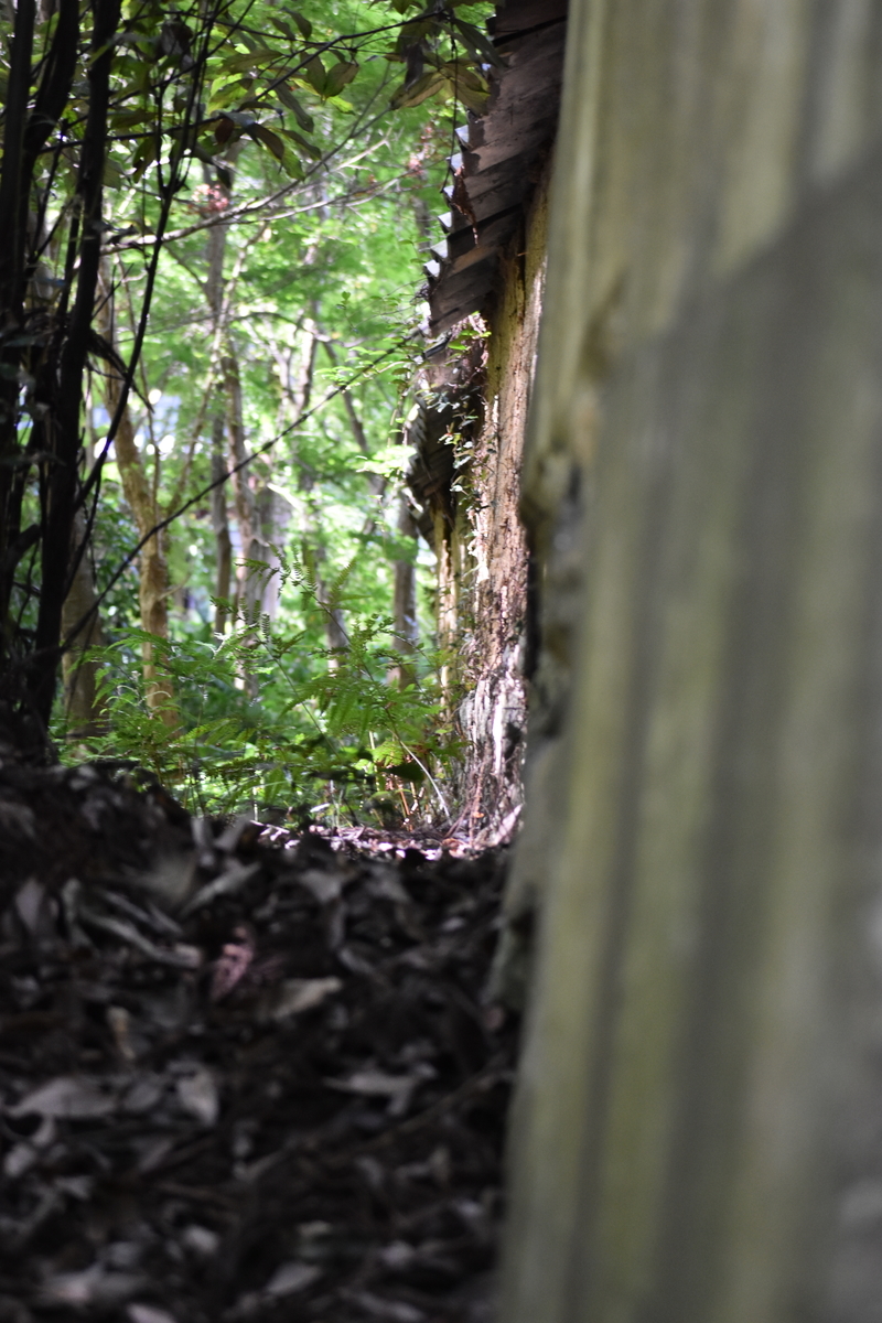 f:id:BlueTech:20200907193208j:plain