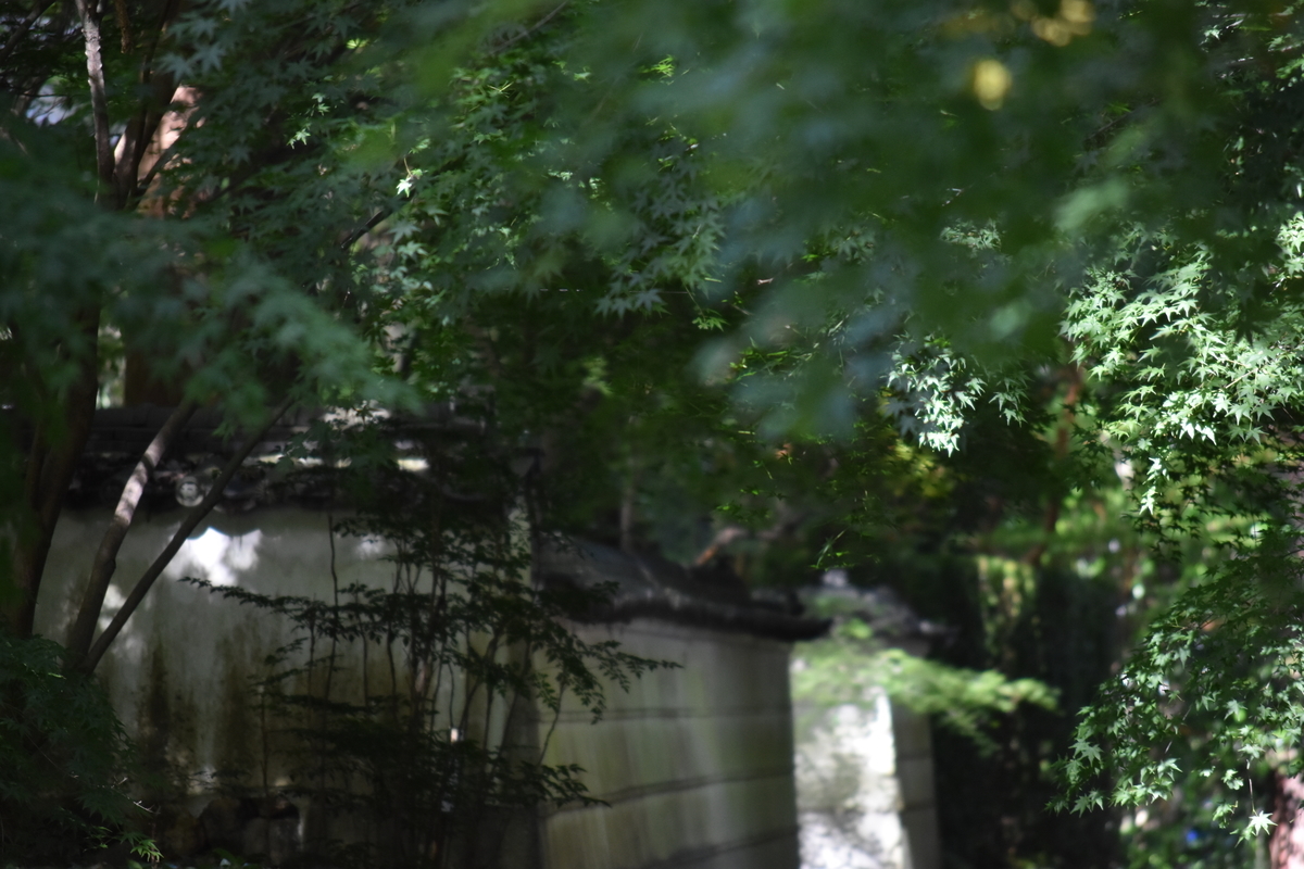 f:id:BlueTech:20200907193930j:plain