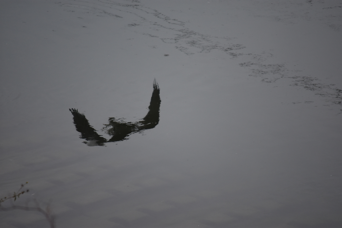 f:id:BlueTech:20200907195419j:plain