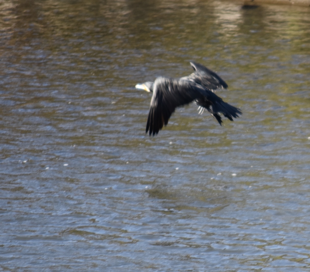 f:id:BlueTech:20200907200355j:plain