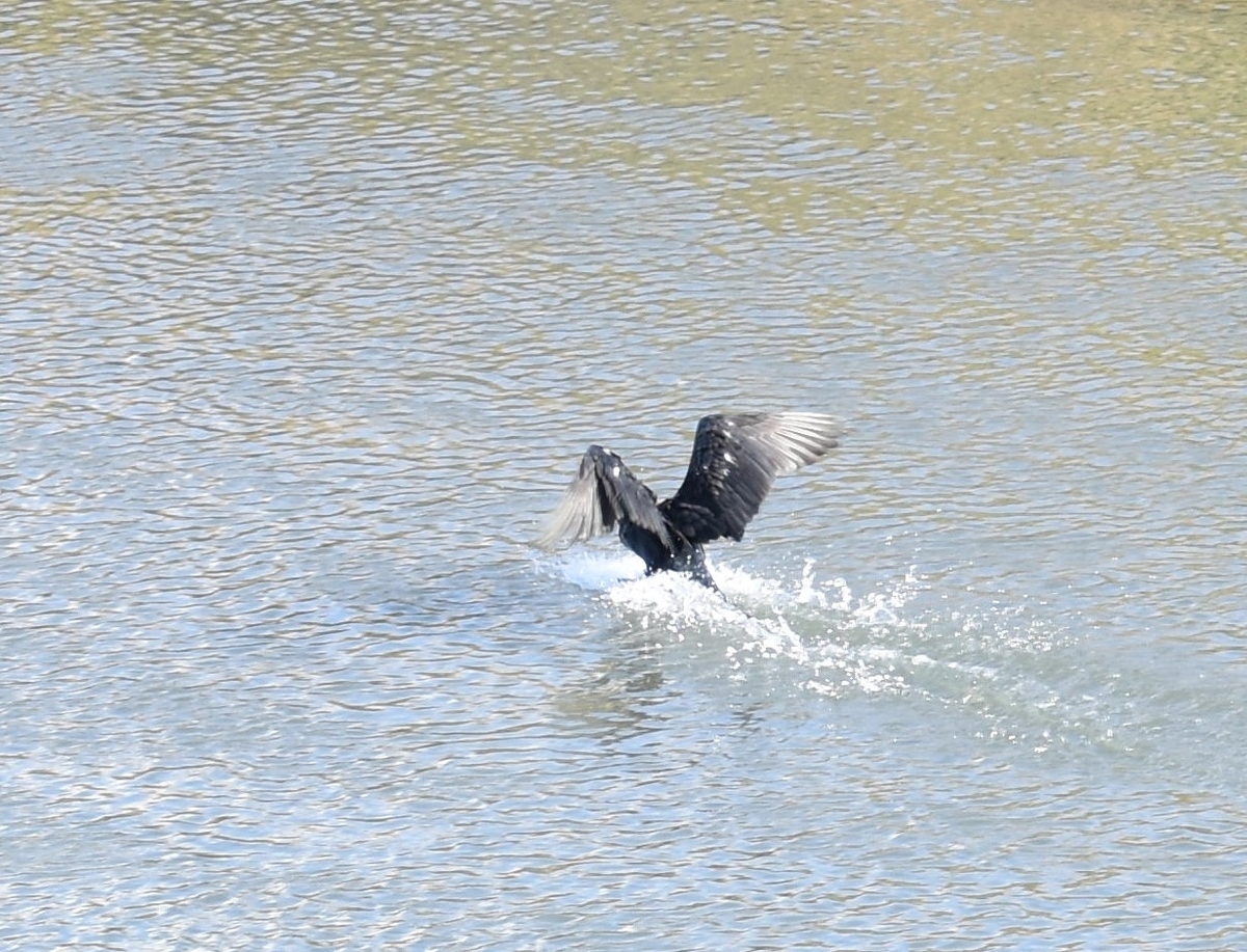 f:id:BlueTech:20200907200629j:plain