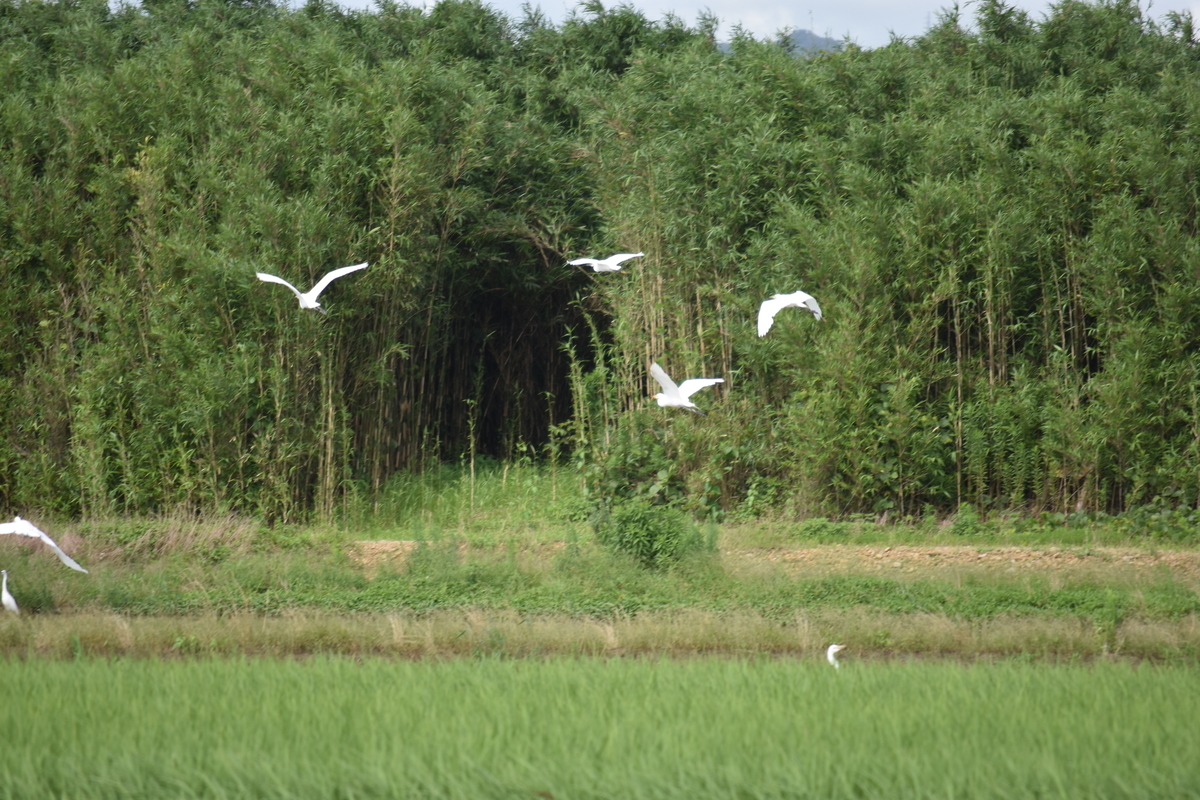 f:id:BlueTech:20200907200726j:plain