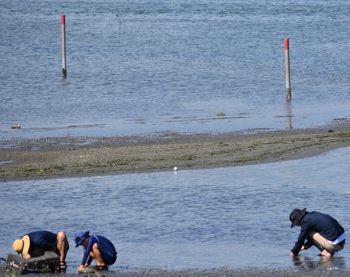 f:id:BlueTech:20200907201040j:plain