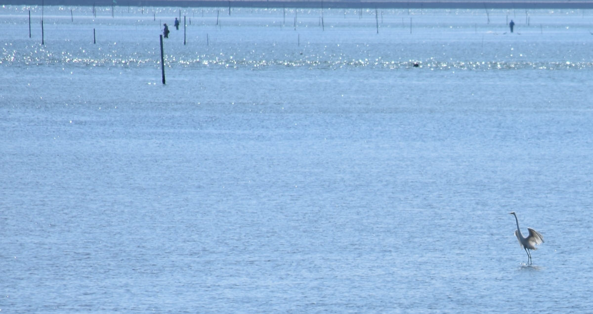 f:id:BlueTech:20200907201225j:plain