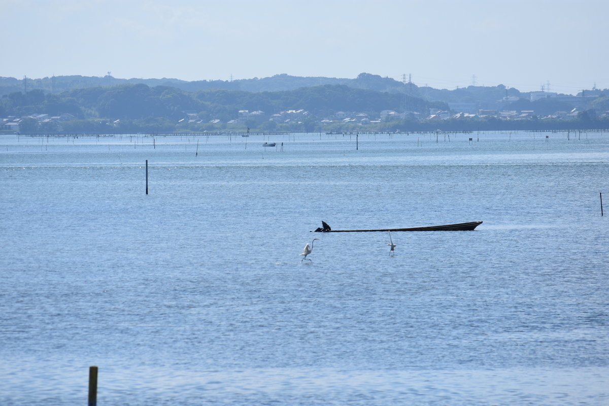 f:id:BlueTech:20200907201339j:plain